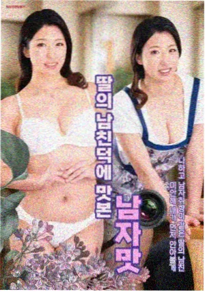 母亲题材剧集市场变化 配图